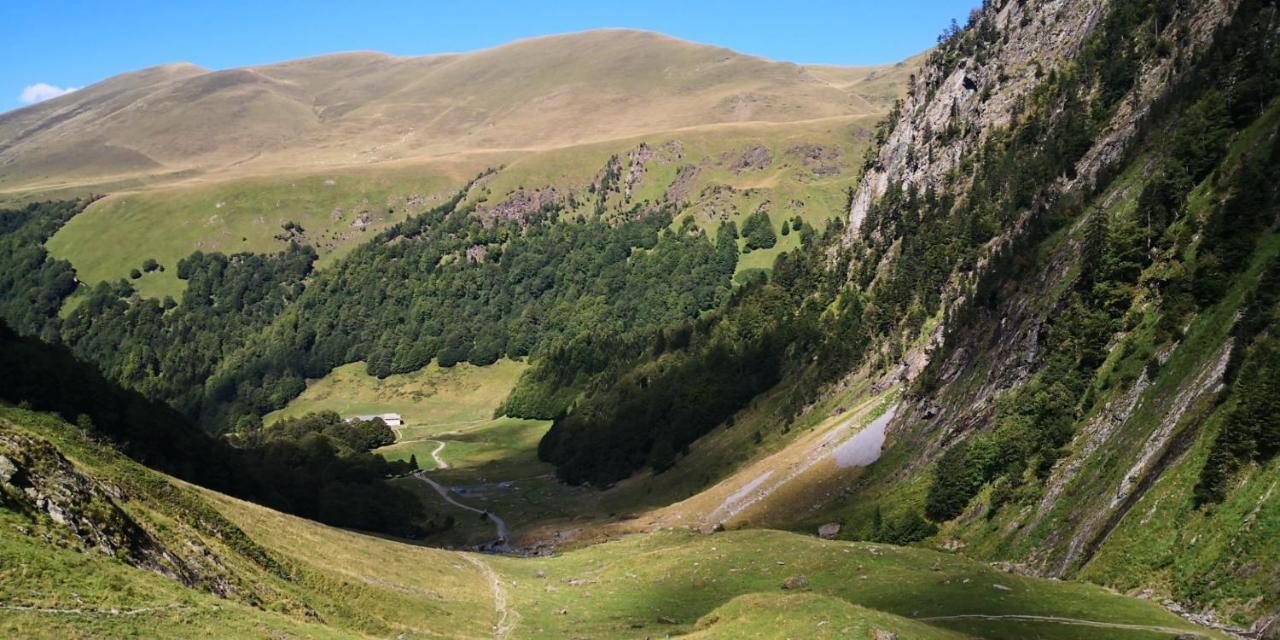 Le 41 Avenue Foch Hotel Bagneres-de-Luchon Bagian luar foto